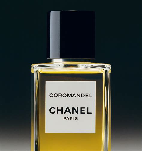 chanel coromandel preis|chanel coromandel for sale.